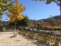 -山东大学(兴隆山校区)