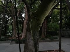 -城隍阁