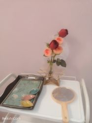 -SILKTONE诗丽堂美容