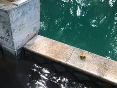 -碧水湾温泉