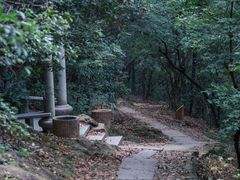 -西湖风景区十里琅珰-五云山