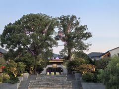 -雅达·阳羡溪山小镇中心