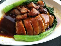 烧味双拼-百事佳烧鸭牛腩(上海虹桥站店)