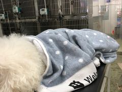 -成都民大动物医院