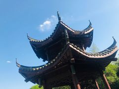 -祥源·阜阳生态乐园