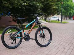 -道路口单车爱瓦士dahon大行