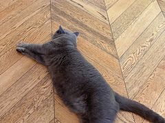 -Me Coffee下午茶艺术空间