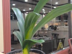 -生宇山珍野生菌汤锅•始于2002(双流古塔店)