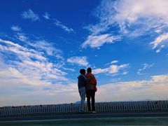 -贡湖湾湿地公园