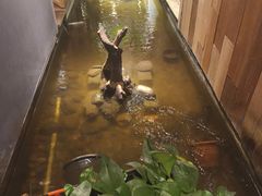 -邈墨茶馆(凤起路店)