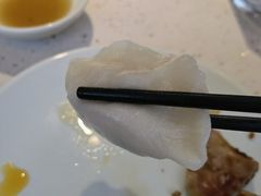 鲅鱼水饺-船歌·鱼水饺青岛菜(金狮广场店)