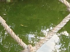-青青世界