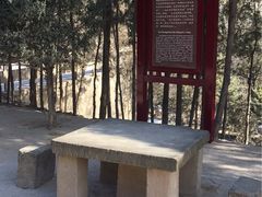 -延安杨家岭革命旧址