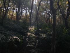 -南京市江宁方山