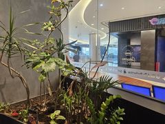 -bluefrog蓝蛙(皇庭广场店)
