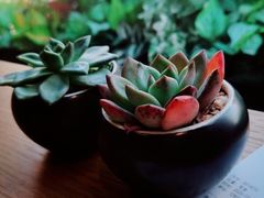 -Peet's Coffee皮爷咖啡(大学路店)