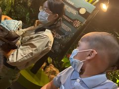 -侏罗纪世界电影特展(广州站)