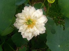 -镇江市南山风景名胜区竹林景区