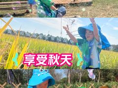 -武汉紫薇都市田园