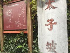 景点-武当山风景区-太子坡