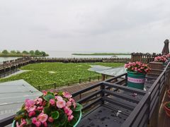 -新木器时代餐厅(太湖新天地店)