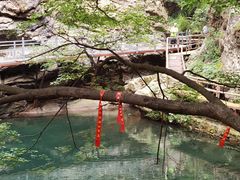 -九龙潭景区