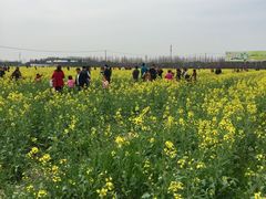 -孙家羊肉馆(庄良公路店)