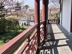 -上海海湾国家森林公园