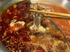 -铭记蛙小仙·活蛙畅享(CBD万达广场店)