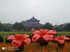 -广州中山纪念堂