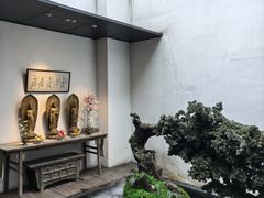 -觀芷隐轩