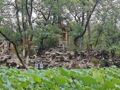 -莲湖公园