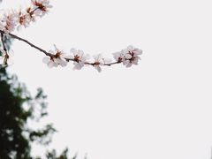 -颐和园