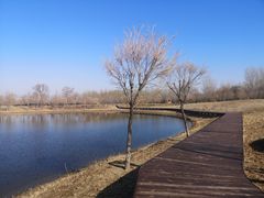 -东郊湿地公园
