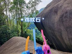 -火炉山森林公园