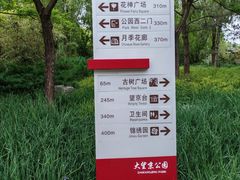 -大望京公园