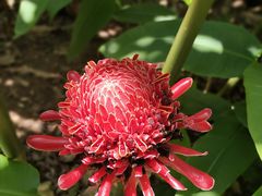 -中国科学院西双版纳热带植物园