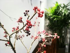 -红星美凯龙北京至尊MALL(东四环中路店)