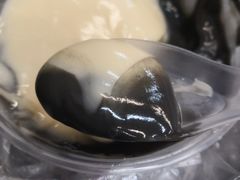 -鞠氏黑芝麻糊(水塔店)