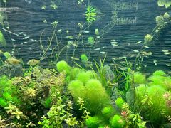 -上海海洋水族馆