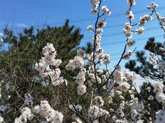 -鹫峰国家森林公园