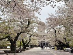 -帝京日语(春熙路旗舰校区)