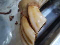 -河间正宗驴肉火烧(宾水西里店)