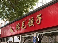 -鸿毛饺子(紫竹桥店)