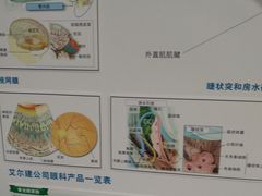 -浙江大学医学院附属第二医院眼科中心