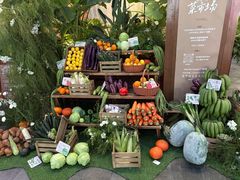 -蘑界·野生菌火锅(深业上城店)