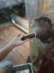 -Zoolung Zoolung动物主题公园(海信广场店)