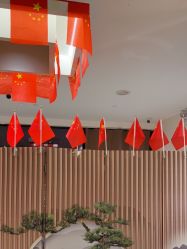 -森林头疗美容养发馆