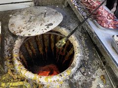 -艾力江和田馕坑烤肉店