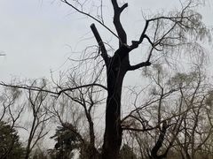 -长春市南湖公园